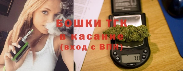 ECSTASY Грязовец