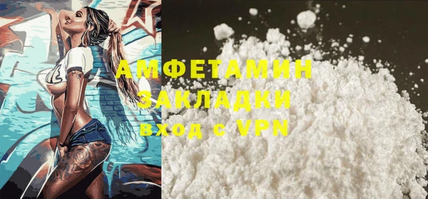 индика Алзамай