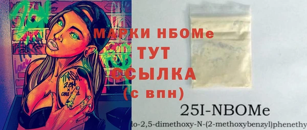 хмурый Алексин