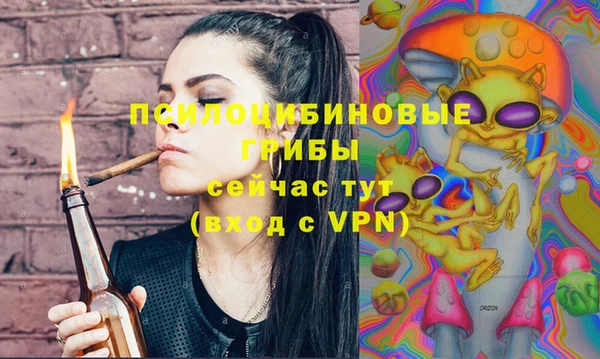 индика Алзамай