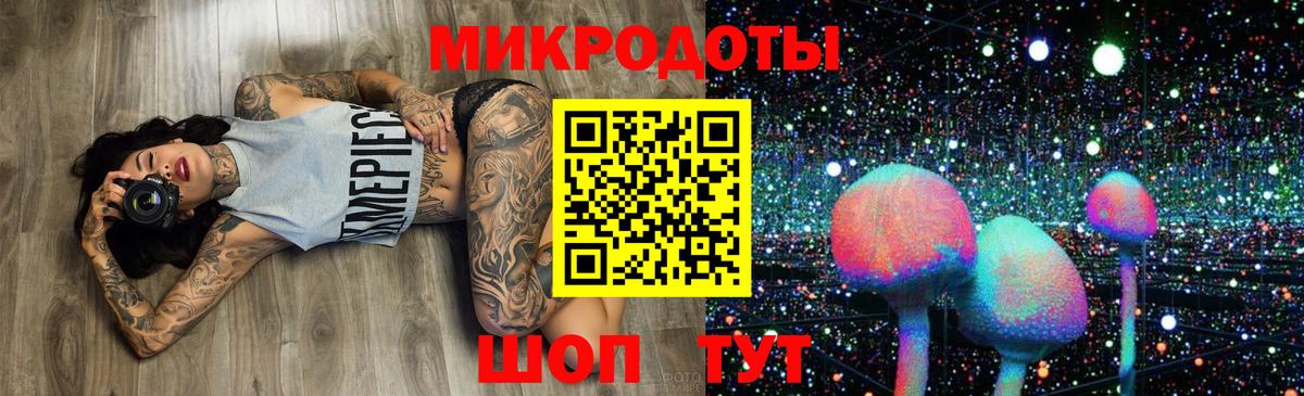 Псилоцибиновые грибы Psilocybine cubensis  Вход с VPN  Глазов 